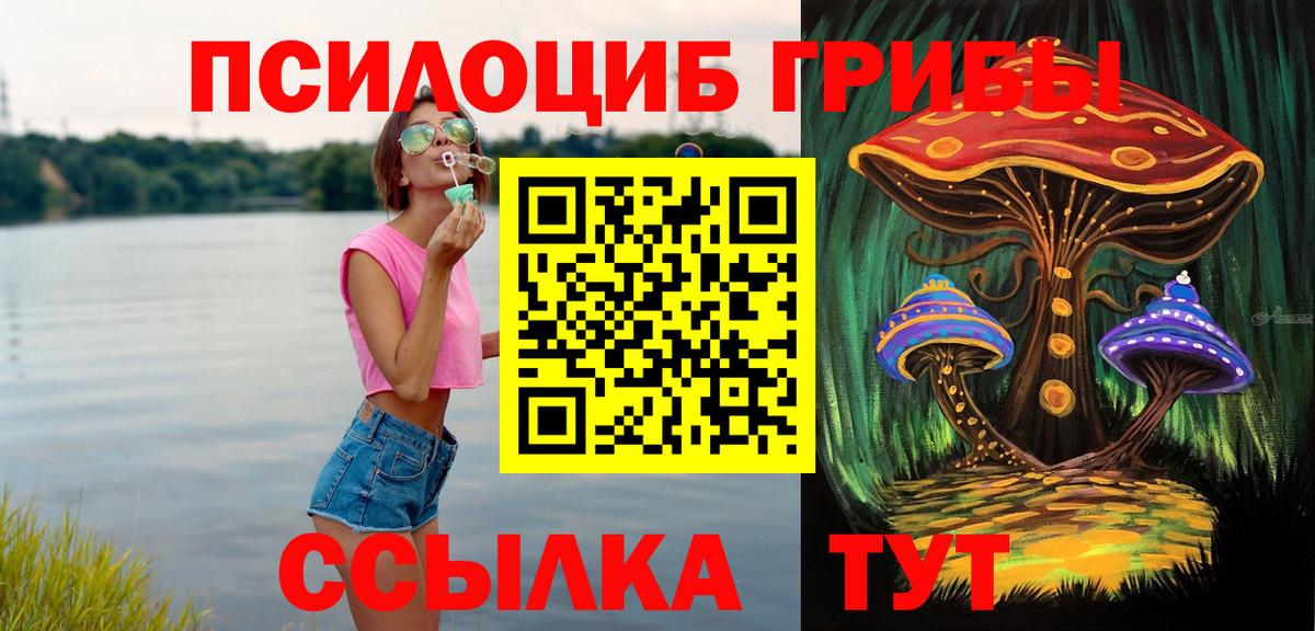 Великий Новгород  Псилоцибиновые грибы GOLDEN TEACHER  наркота  Вход с VPN 